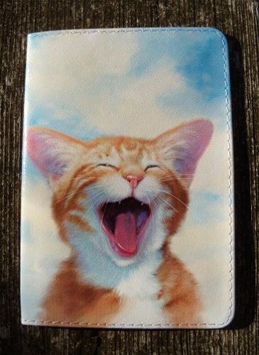 Купить Кожаная обложка "Котёнок", Увеличить фото, Разрешение: 367x504px