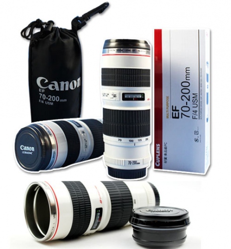 Canon70-200Gold,,:500x539px