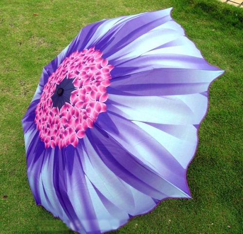 Купить Зонтик Мини - Пурпурная Хризантема, Увеличить фото, Разрешение: 601x578px